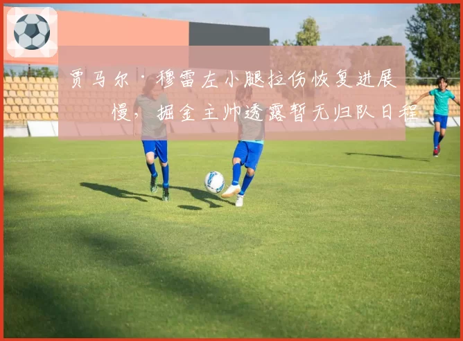 贾马尔·穆雷左小腿拉伤恢复进展缓慢，掘金主帅透露暂无归队日程