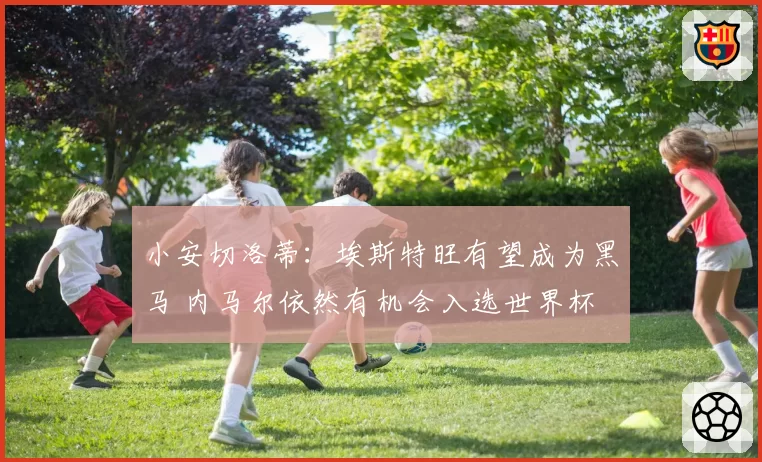 小安切洛蒂:埃斯特旺有望成为黑马 内马尔依然有机会入选世界杯