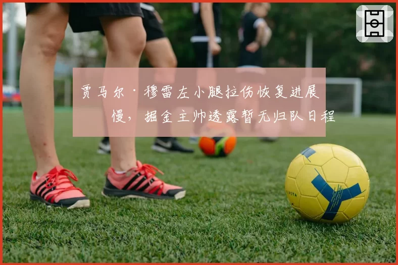 贾马尔·穆雷左小腿拉伤恢复进展缓慢，掘金主帅透露暂无归队日程