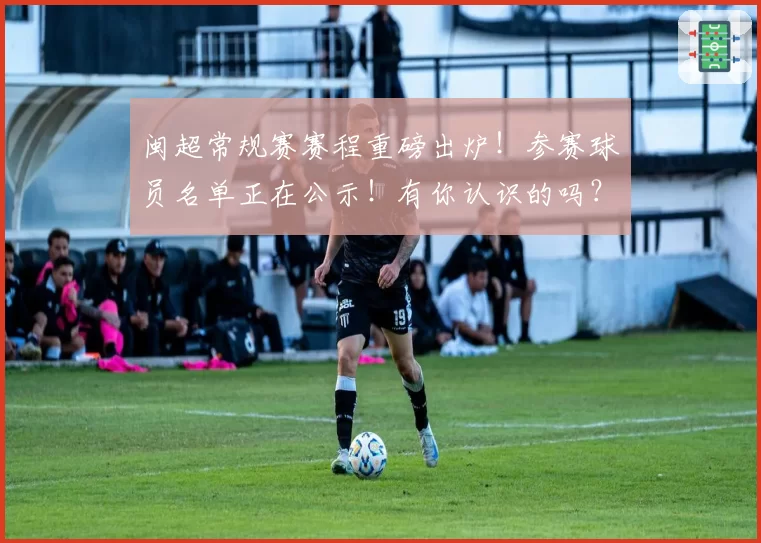 闽超常规赛赛程重磅出炉!参赛球员名单正在公示!有你认识的吗?