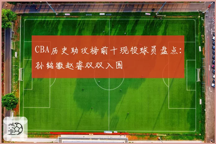 CBA历史助攻榜前十现役球员盘点：孙铭徽赵睿双双入围